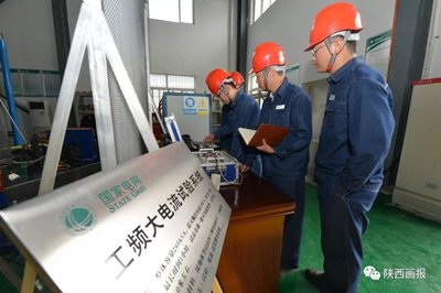 科技引領(lǐng) 為綠色智能電網(wǎng)保駕護(hù)航——技術(shù)咨詢的核心價值