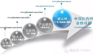 互聯(lián)網(wǎng)醫(yī)藥 迎接行業(yè)2.0時代的挑戰(zhàn)與機遇